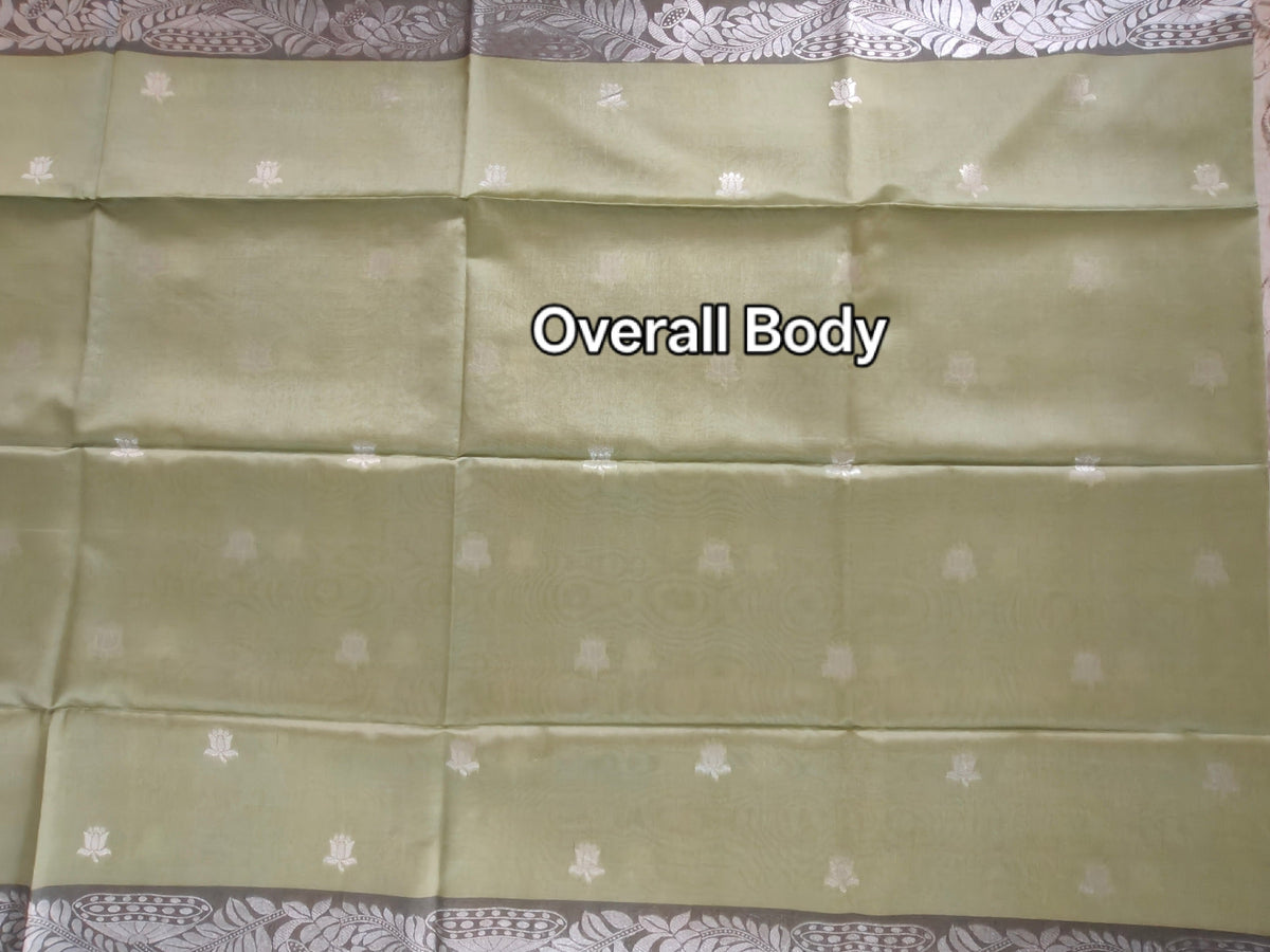 Sage Green Pure Tussar Jamdani Silk Saree